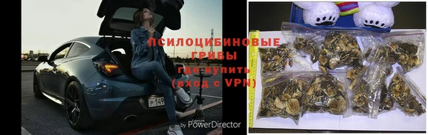 крисы Краснослободск