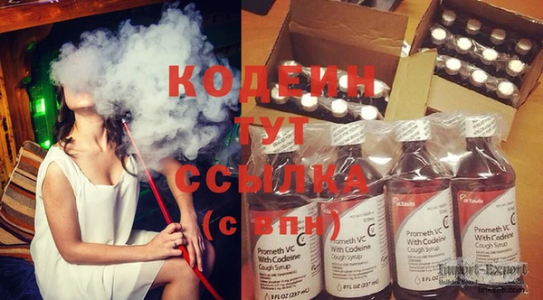 крисы Краснослободск