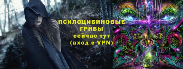 крисы Краснослободск