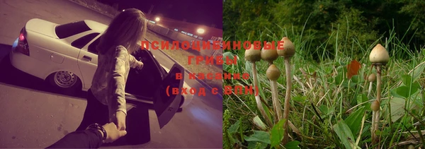 крисы Краснослободск