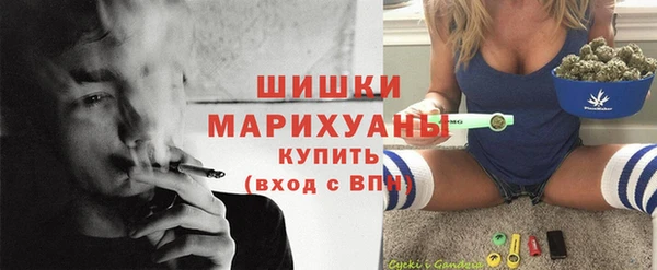 крисы Краснослободск