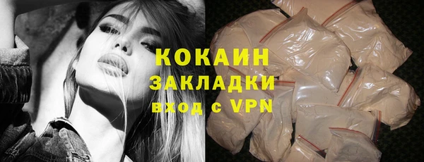 крисы Краснослободск