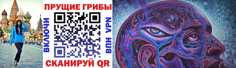 Купить  Южно-Сухокумск  Галлюциногенные грибы MAGIC MUSHROOMS 